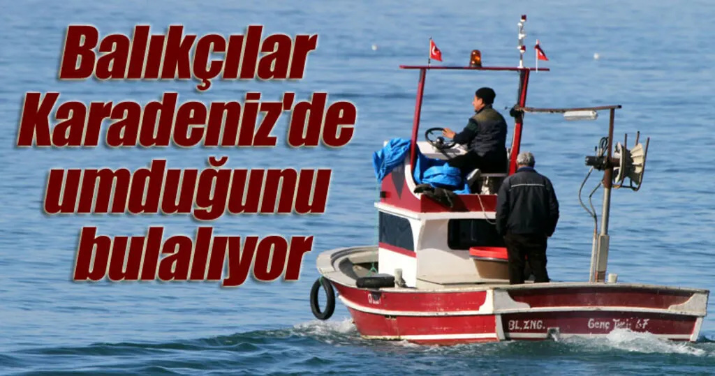 Karadeniz'de neden balık kıtlığı yaşanıyor!