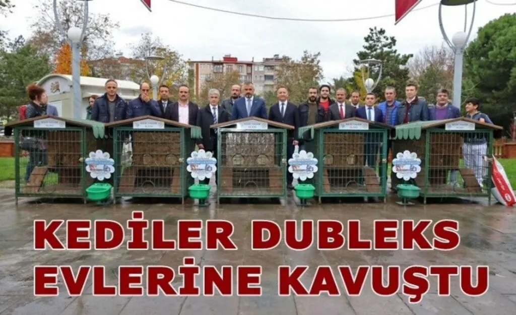 Bafrada kediler sıcak yuvalarına kavuştu