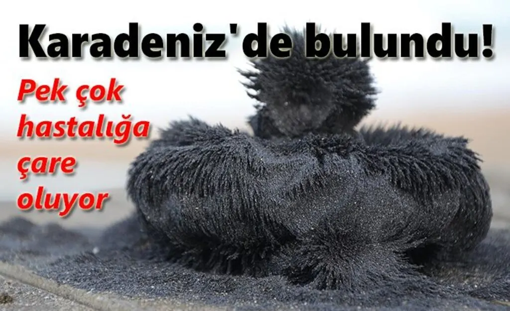 Doğal sağlık cevheri: manyetik siyah kum