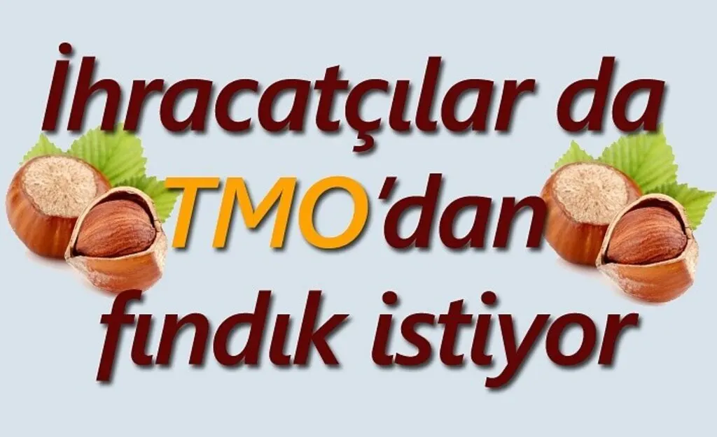 İhracatçılardan çağrı; Fındık depolarda çürümesin, ülkemiz kazansın