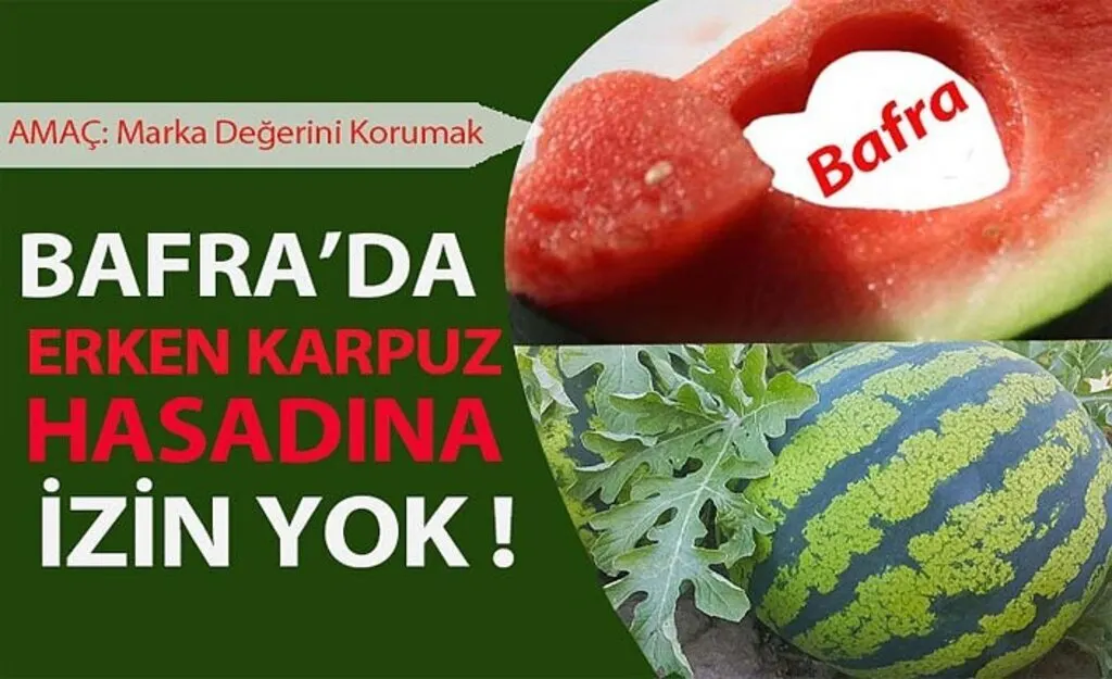 Bafra Karpuzu koruma altına alındı!