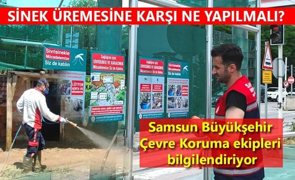 Çevre Koruma ekipleri ilaçlama çalışmalarını artırdı