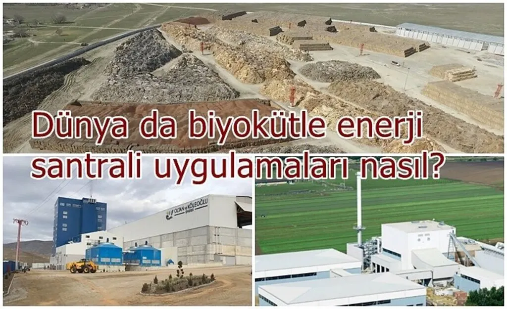 Dünya da biyokütle enerji santrali uygulamaları nasıl?