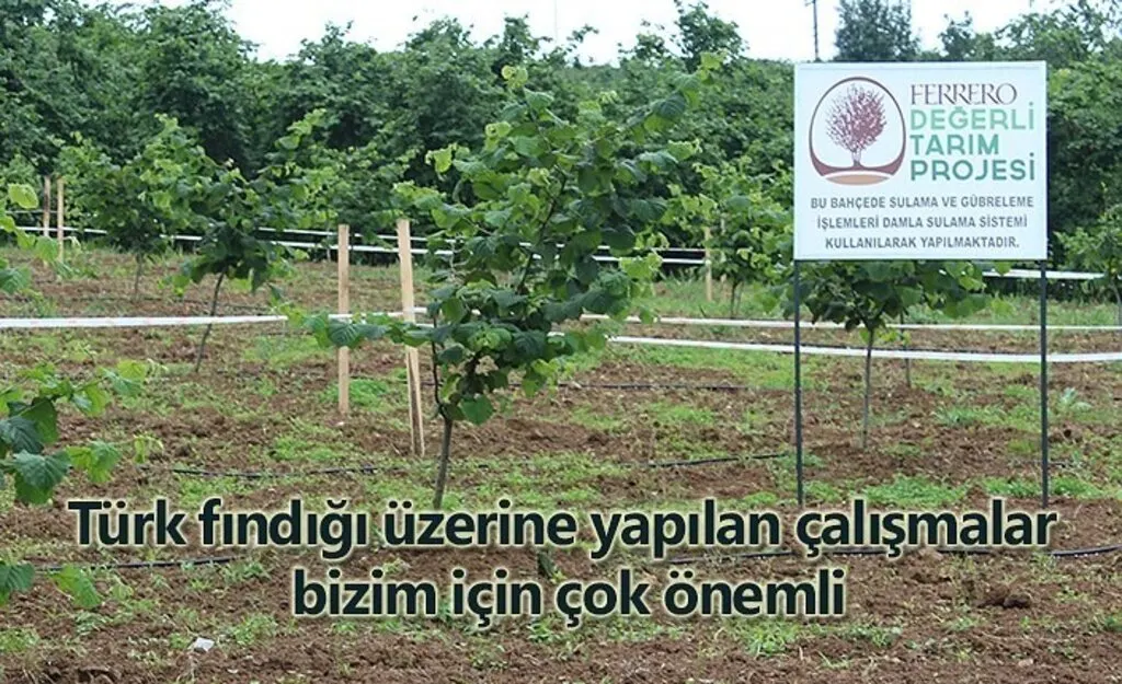 Schlesinger: Türk fındığı üzerine yapılan çalışmalar bizim için çok önemli