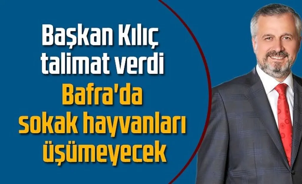 Bafra'da sokak hayvanları üşümeyecek