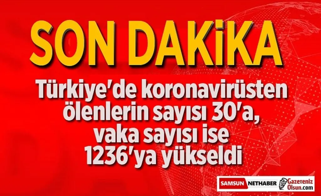 Türkiye'de koronavirüsten ölenlerin sayısı 30'a, vaka sayısı ise 1236'ya yükseldi