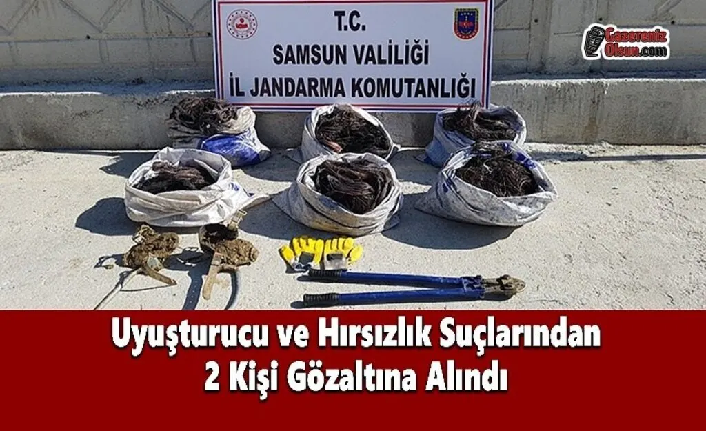 Uyuşturucu ve Hırsızlık Suçlarından 2 Kişi Gözaltına Alındı - Samsun Haber