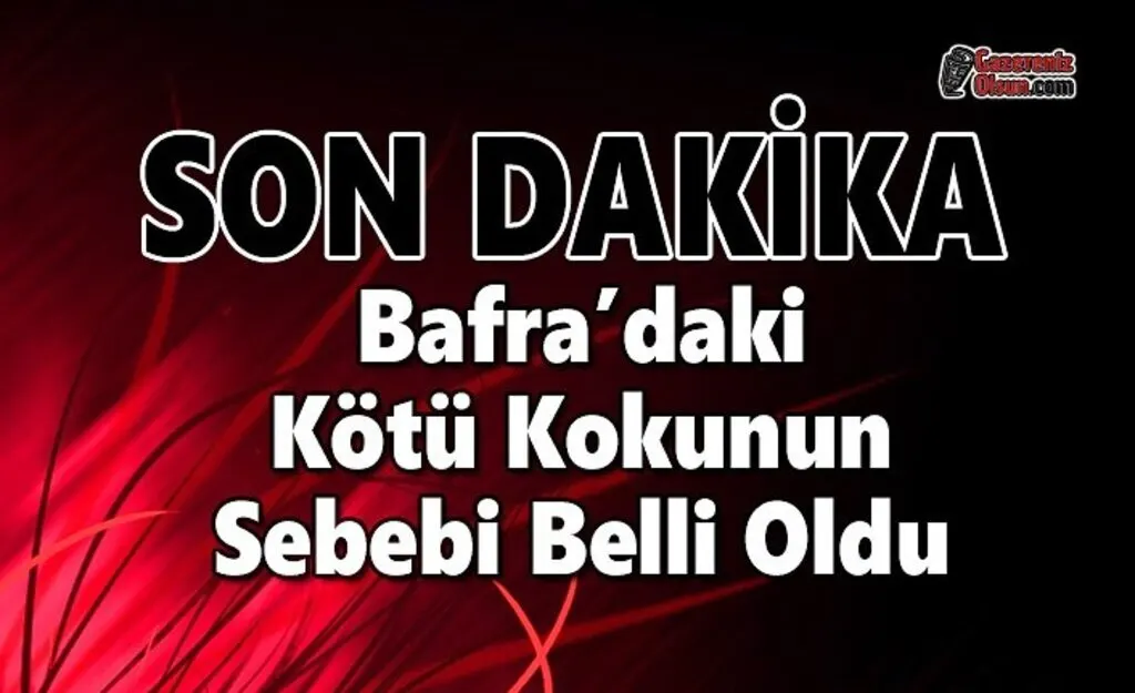Bafra'daki Kötü Kokunun Sebebi Belli Oldu