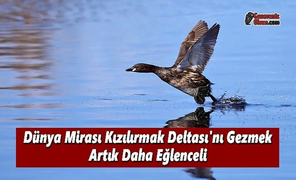 Dünya Mirası Kızılırmak Deltası'ndan Harika Görüntüler