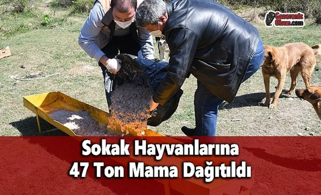 Sokak Hayvanlarına 47 Ton Mama Dağıtıldı