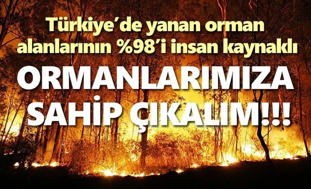 Türkiye’de yanan orman alanı büyüklüğü 2 kat arttı!