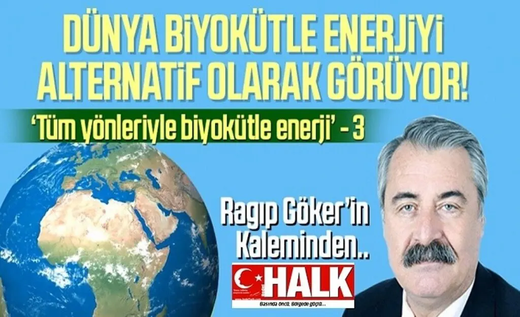 Tüm yönleriyle biyokütle enerji, bilimsel bir yazı dizi - 3
