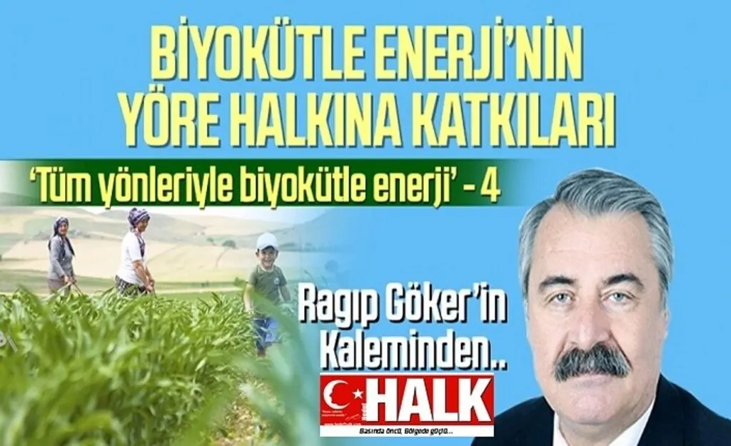 Tüm Yönleriyle Biyokütle Enerji - Yazı dizisi 4