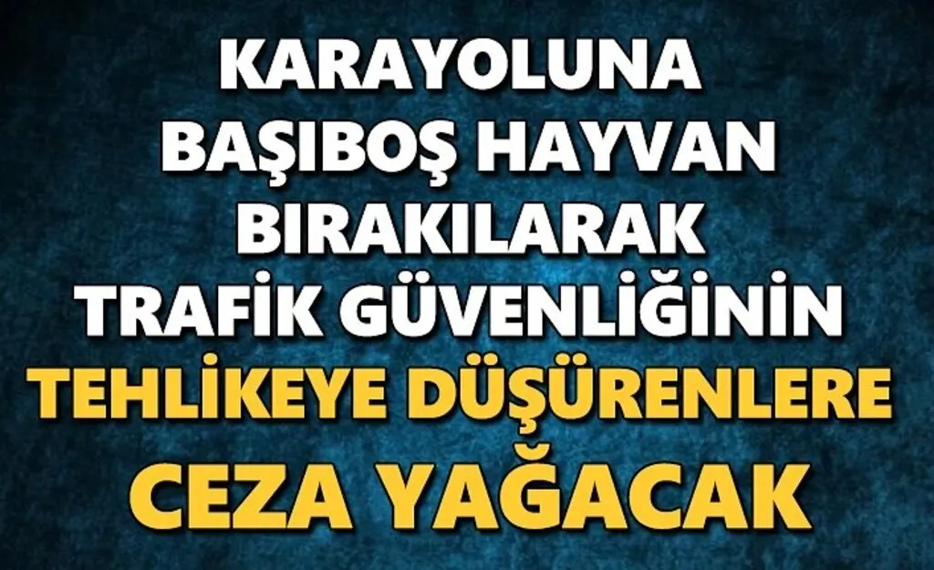 Karayoluna Başıboş Hayvan Bırakanlara Ceza Yağacak