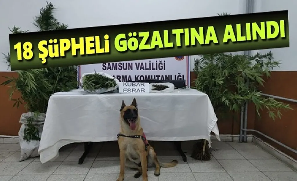 Uyuşturucu Madde ve Ateşli Silah Ele Geçirilerek 18 Şüpheli Gözaltına Alındı