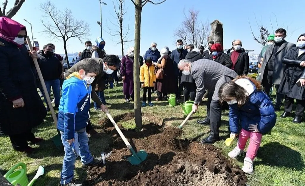 Kız Kulesi’nin karşısındaki parkta kesilen ağaçların yerine yenileri dikildi