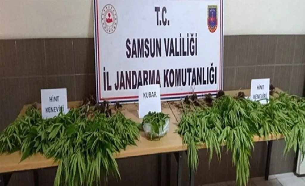 Samsun'da Uyuşturucu Operasyonu! 15 Şahıs Gözaltına Alındı