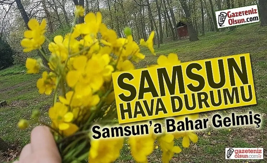 Samsun'da hava bugün nasıl olacak!