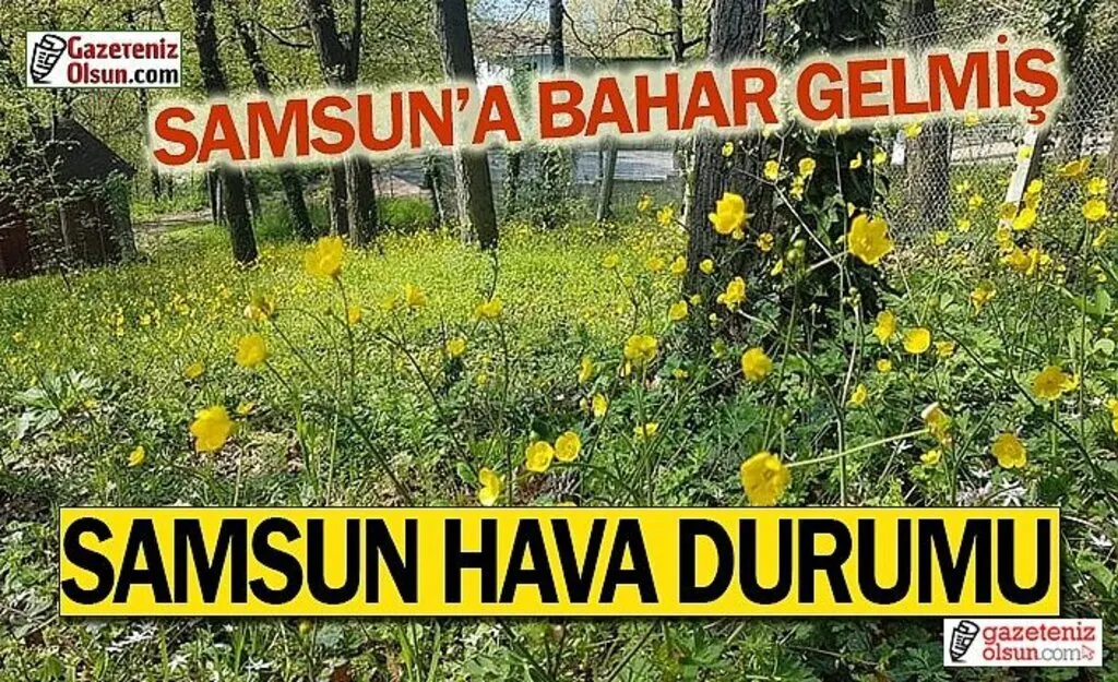 Samsun'da bugün hava nasıl olacak?