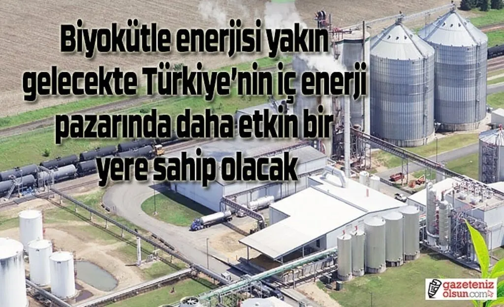 Biyokütle enerjisi iç pazarda etkin bir yere sahip olacak