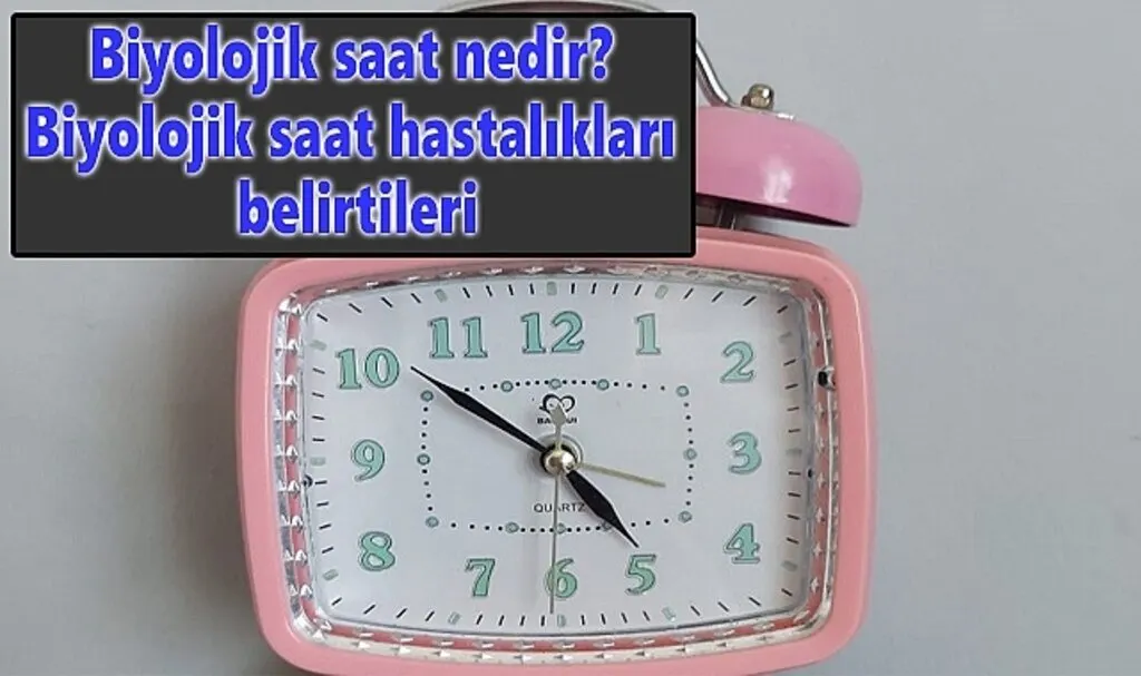 Biyolojik saat nedir? Biyolojik saat hastalıkları belirtileri