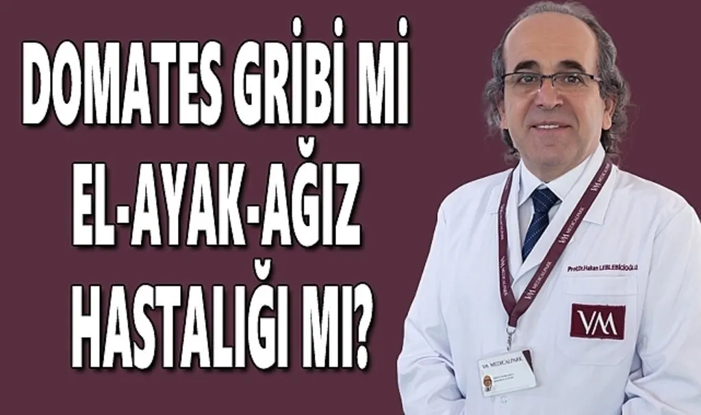 Domates gribi mi, el-ayak-ağız hastalığı mı?