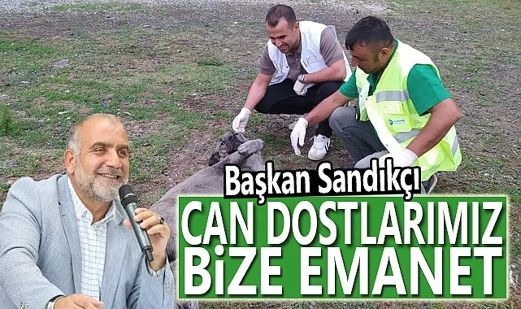 Başkan Sandıkçı: Can dostlarımız bize emanet
