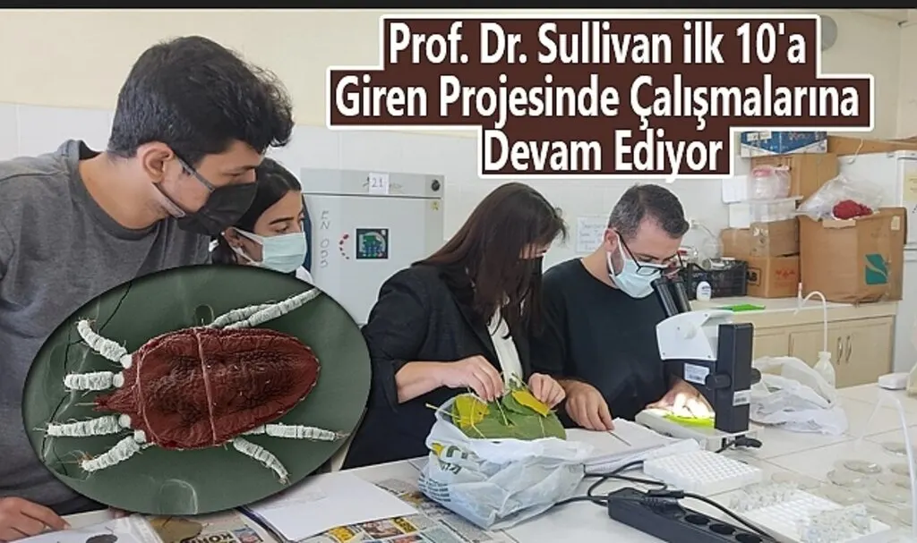 Prof. Dr. Sullivan ilk 10'a Arasına Giren Projesinde Çalışmalar Devam Ediyor