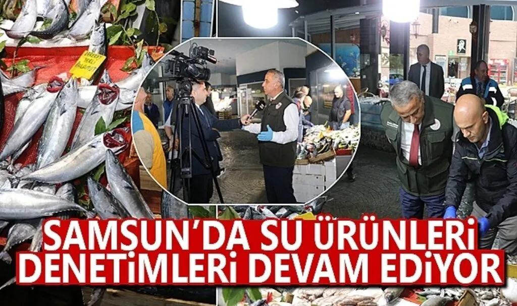 Samsun’da Su Ürünleri Denetimleri Devam Ediyor
