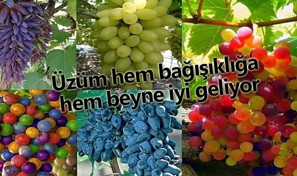 Üzümün faydaları saymakla bitmiyor!