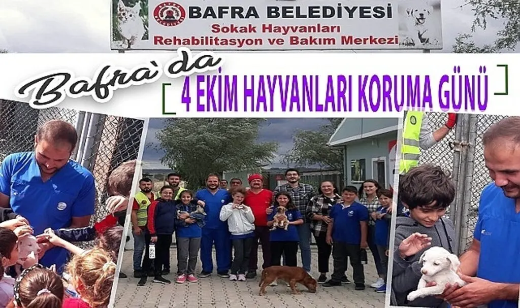 Bafra'da 4 Ekim Sokak Hayvanları Koruma Günü