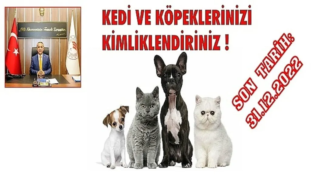 Kedi ve Köpek sahipleri dikkat son gün 31 Aralık