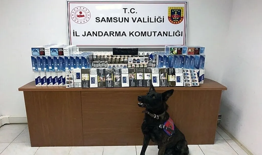 Samsun'da jandarmadan uyuşturucu ve kaçakçılık operasyonları