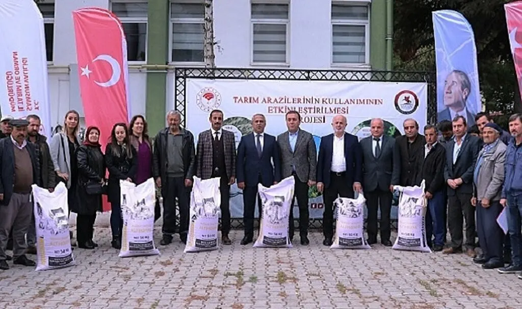 Samsun’da Yerli ve Milli Buğday Çeşitleri Yaygınlaşıyor