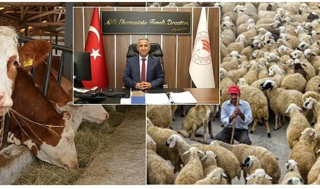 2022 Yılı Hayvancılık Desteklemeleri Uygulama Tebliği Yayınlandı