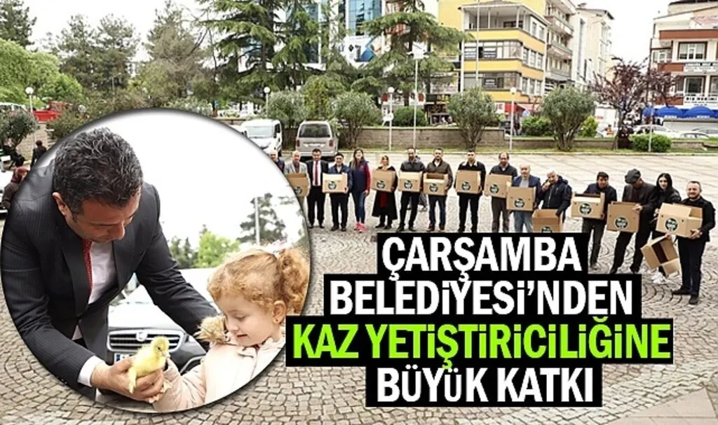Çarşamba Belediyesi'nden Kaz Yetiştiriciliğine Katkı