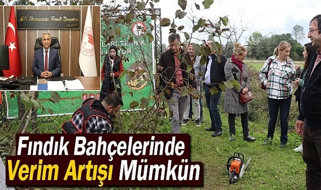 Fındık Bahçelerinde Verim Artışı Mümkün