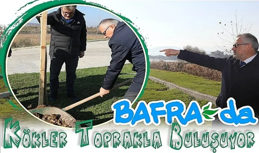 Bafra'da kökler topraklar buluşuyor