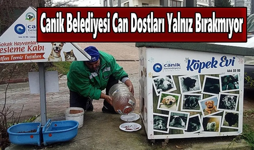 Canik Belediyesi Can Dostları Yalnız Bırakmıyor