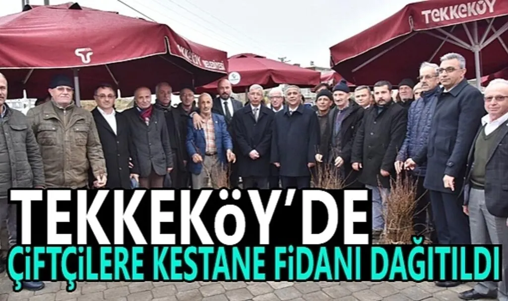 Tekkeköy’de çiftçilere 2 bin 500 kestane fidanı dağıtıldı