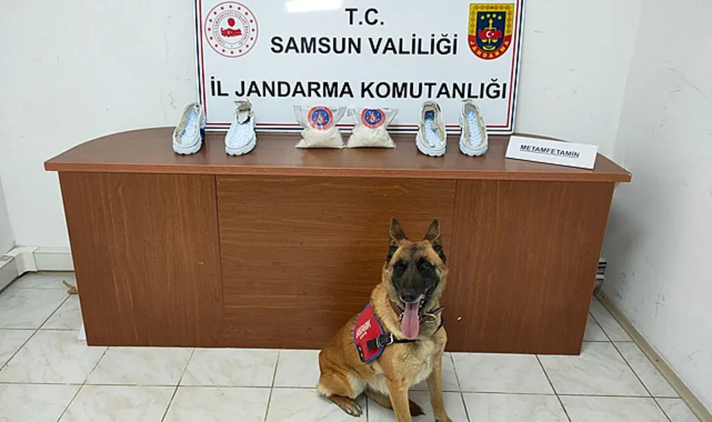 Samsun İl Jandarma Komutanlığı suçlulara göz açtırmıyor
