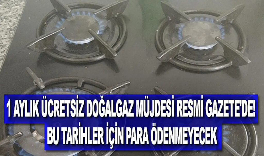 1 aylık ücretsiz doğalgaz müjdesi Resmi Gazete'de! Bu tarihler için para ödenmeyecek