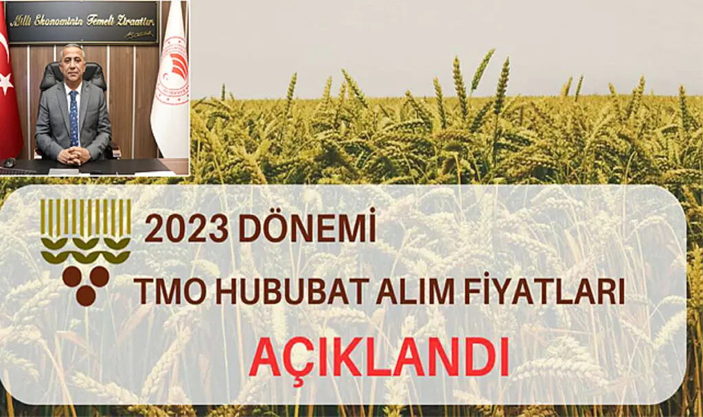 Buğday ve Arpada TMO Alım Fiyatları Açıklandı