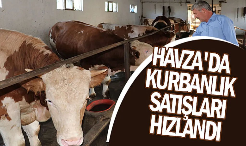 Havza’da Kurbanlık Satışları Hızlandı
