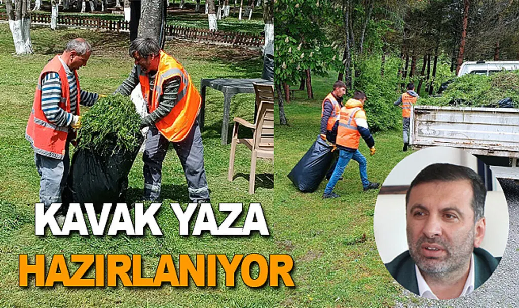 Kavak yaza hazırlanıyor