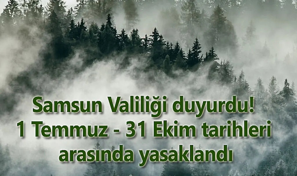 Samsun'da ormanlık alanlara girişler yasaklandı!