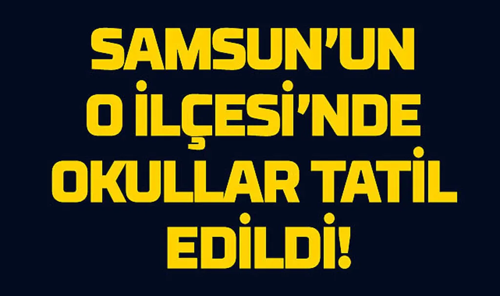 Samsun'un o ilçesinde sağanak yağış okulları tatil etti!