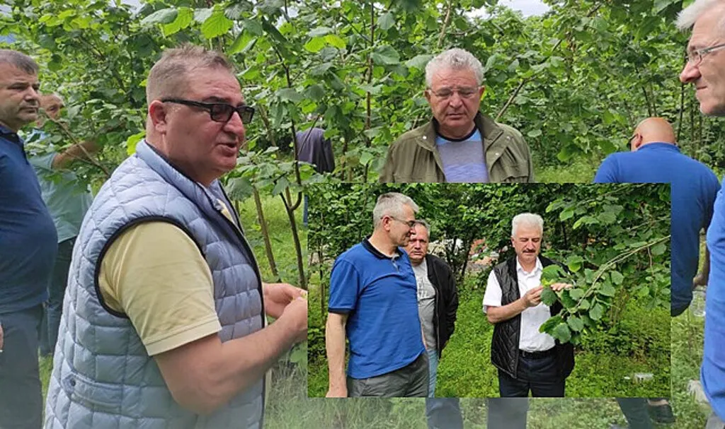 Ulusal Fındık Konseyi Gürcistan’da