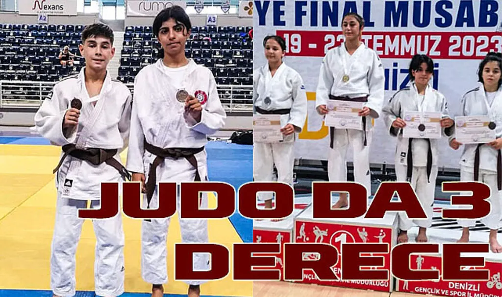 Judo da 3 derece