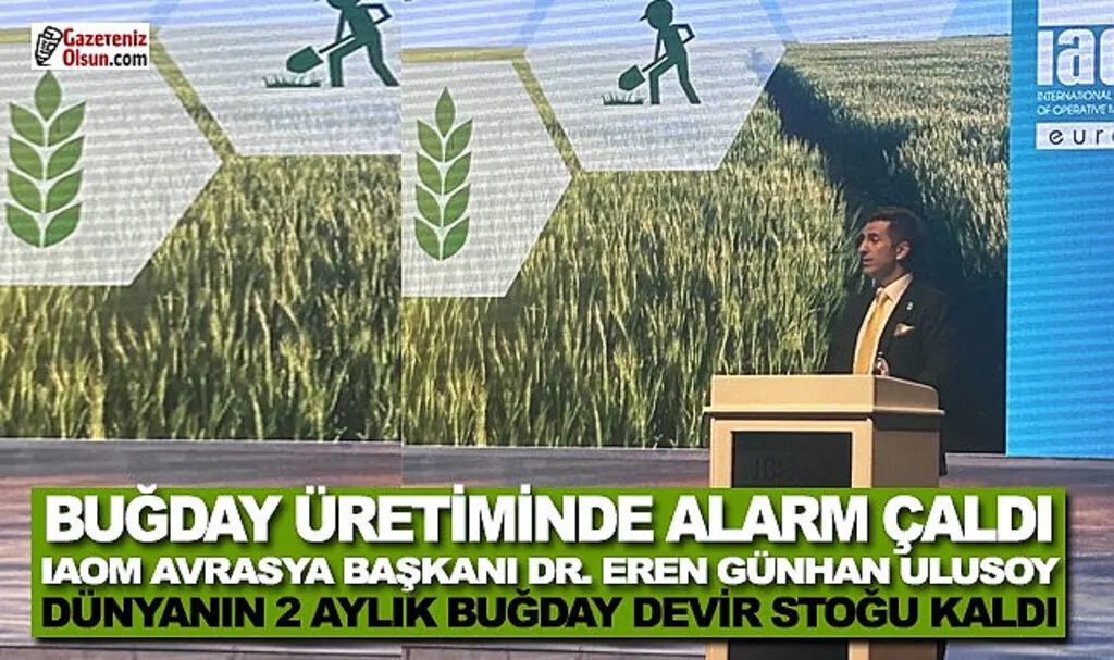 IAOM Avrasya Başkanı Dr. Eren Günhan Ulusoy: Dünyanın 2 Aylık Buğday Devir Stoğu Kaldı